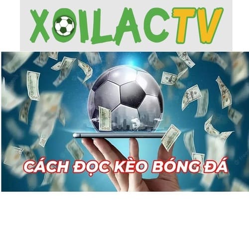 cachdockeobongda